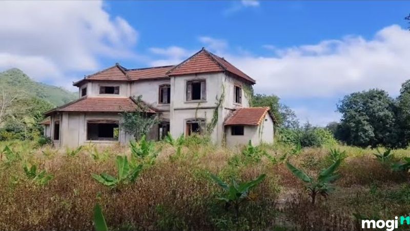 Top 11 Nhà Ma Nổi Tiếng Tại Đà Lạt Và Những Lưu Ý Khi Trải Nghiệm 11 Biệt thự trên đường Trần Quang Diệu