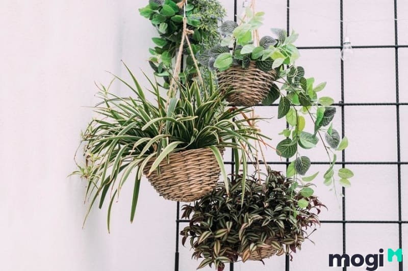 10+ Ý tưởng trang trí bồn hoa đẹp trước nhà cực bắt mắt ai cũng mê 10 Bồn hoa đẹp trước nhà