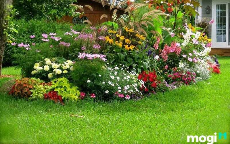 10+ Ý tưởng trang trí bồn hoa đẹp trước nhà cực bắt mắt ai cũng mê 14 Bồn hoa đẹp trước nhà