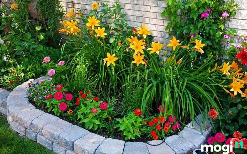 10+ Ý tưởng trang trí bồn hoa đẹp trước nhà cực bắt mắt ai cũng mê 4 Bồn hoa đẹp trước nhà