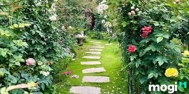 10+ Ý tưởng trang trí bồn hoa đẹp trước nhà cực bắt mắt ai cũng mê 8 Bồn hoa đẹp trước nhà