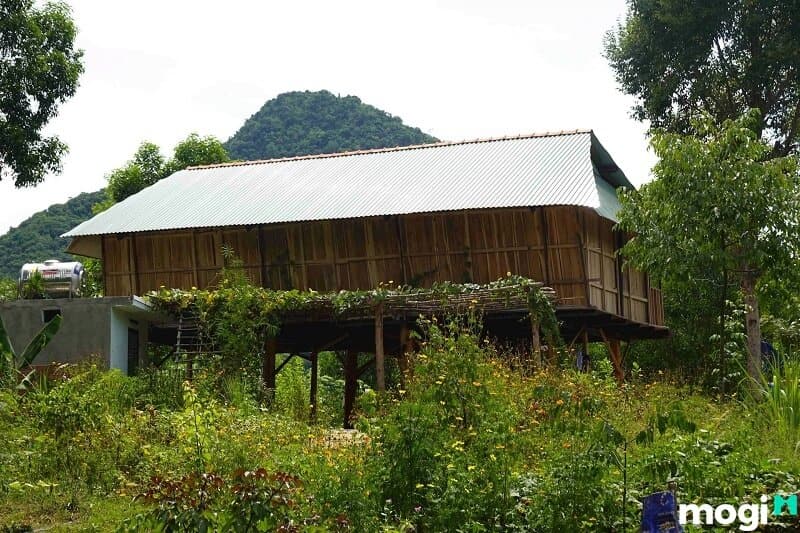 làm nhà trong rừng