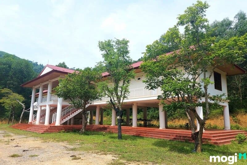 làm nhà trong rừng