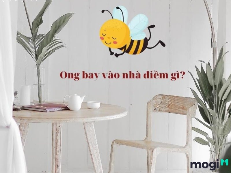 Ong bay vào nhà là điềm tốt hay xấu?