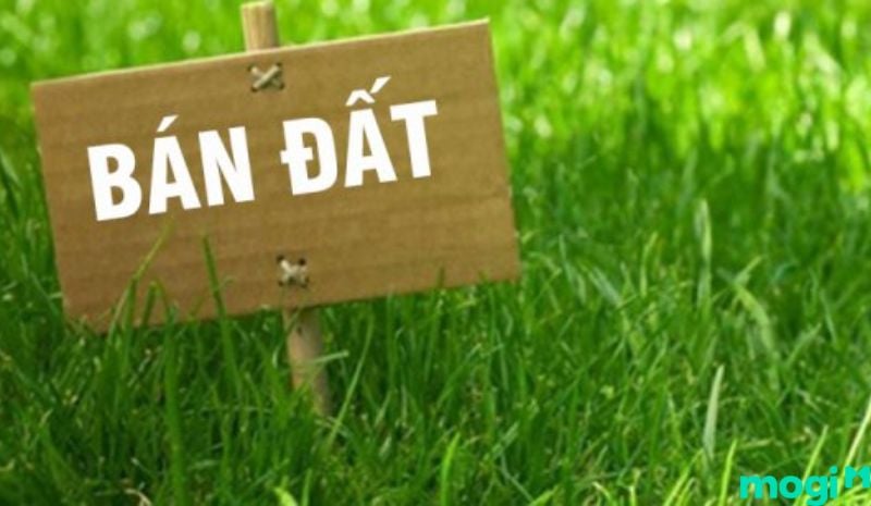 Mơ thấy bán đất là dự báo bạn đang có những bất an hiện tại