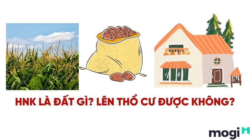 NHK là đất gì? Lên được thể cư không?