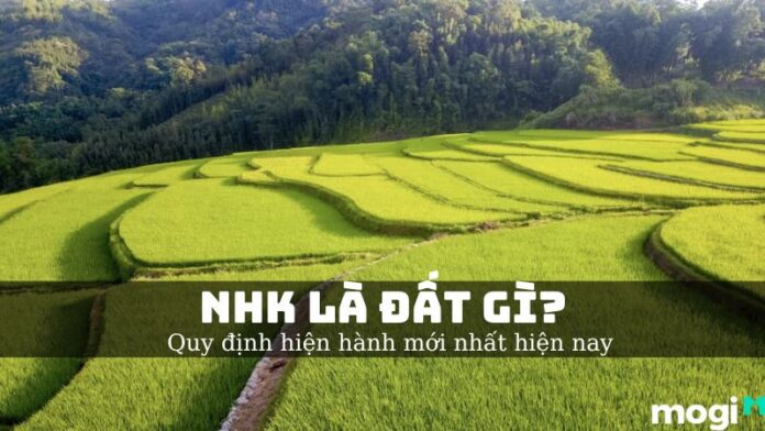 NHK là đất gì?