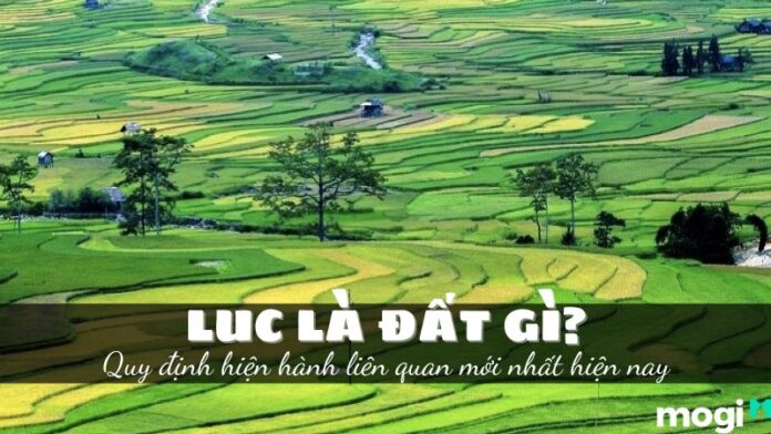 LUC là đất gì