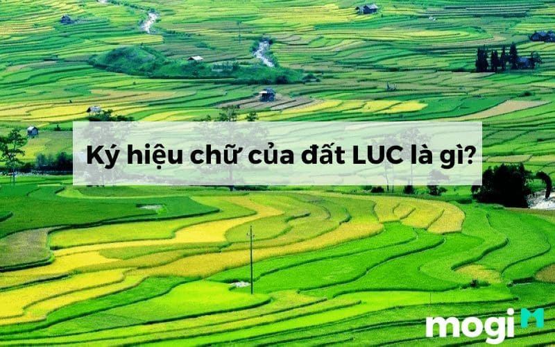  LUC là đất gì? 