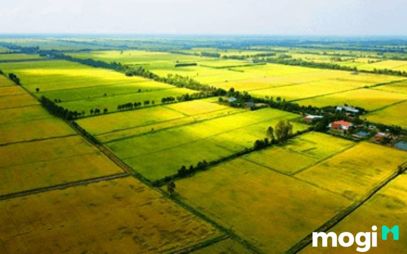  LUC là đất gì? Có cần nộp thuế không?