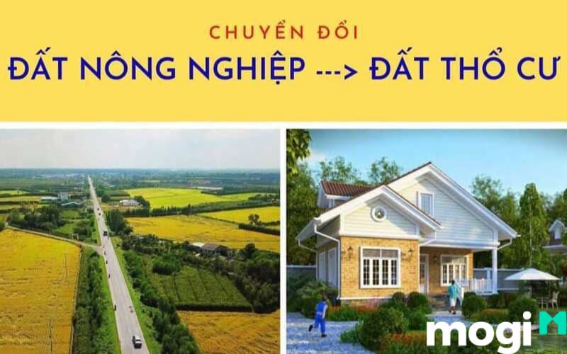  LUC là đất gì? Điều kiện đổi sang đất thổ cư