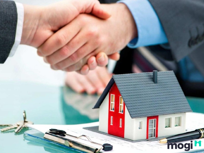 NTS là đất gì? Được quyền chuyển nhượng hay không?