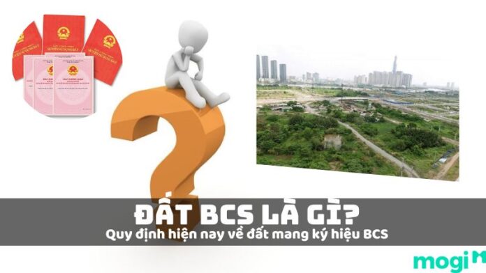 đất bcs là gì