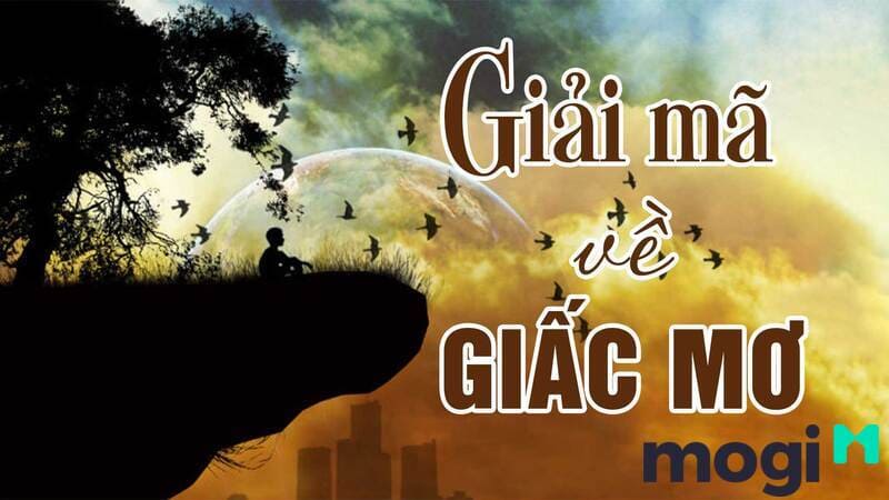 Giải mã điềm báo giấc mơ thấy kiến vào nhà