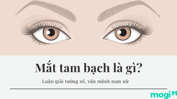 mắt tam bạch