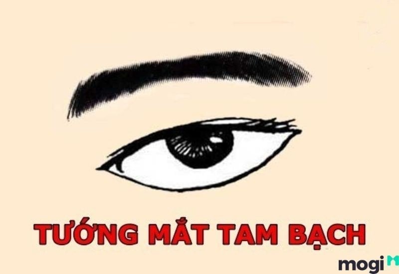 mắt hạ tam bạch