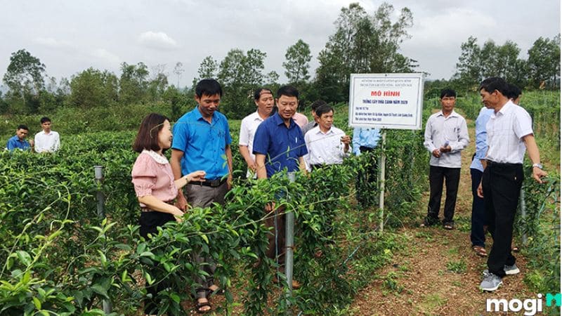 Các loại đất nào không cần phải nộp tiền thuế Mb6626 sảnh cược đỉnh cao?