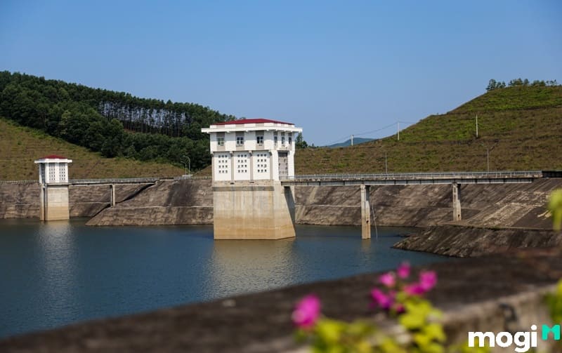dtl là đất gì dtl là đất gì