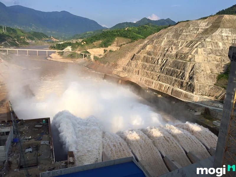 dtl là đất gì dtl là đất gì