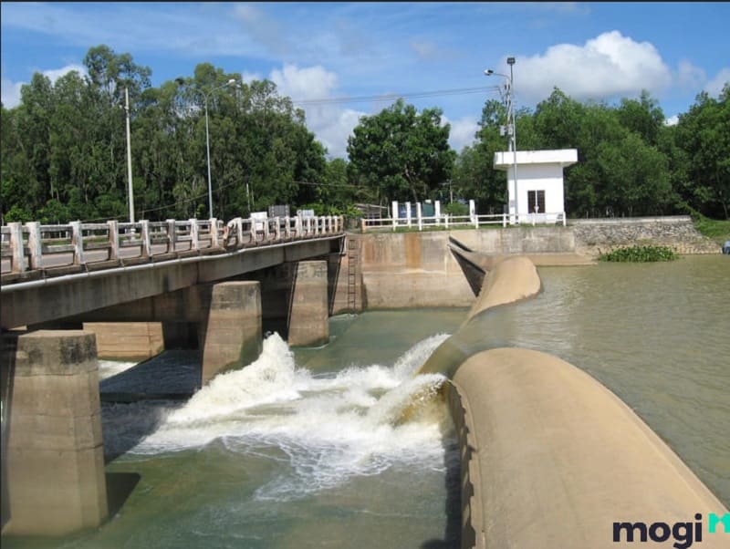 dtl là đất gì dtl là đất gì