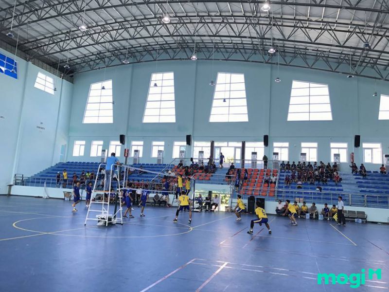 dtt là đất gì