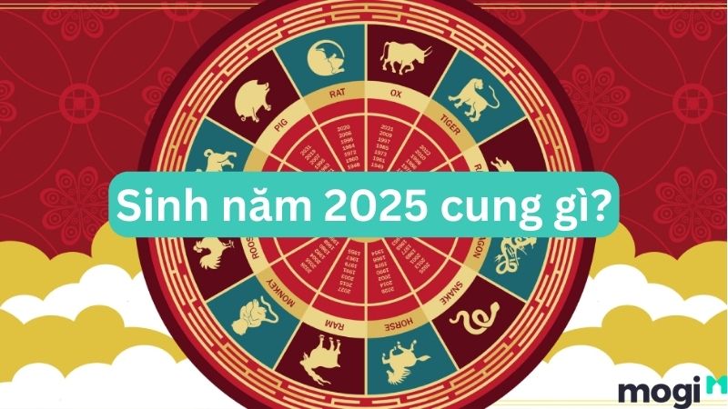 2025 cung gì