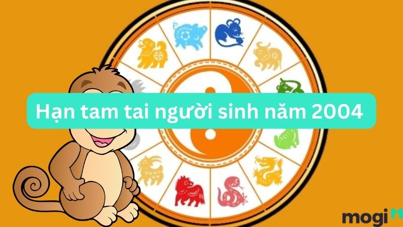 Người sinh năm 2004 mệnh gì và hạn tam tai của người tuổi Giáp Thân 