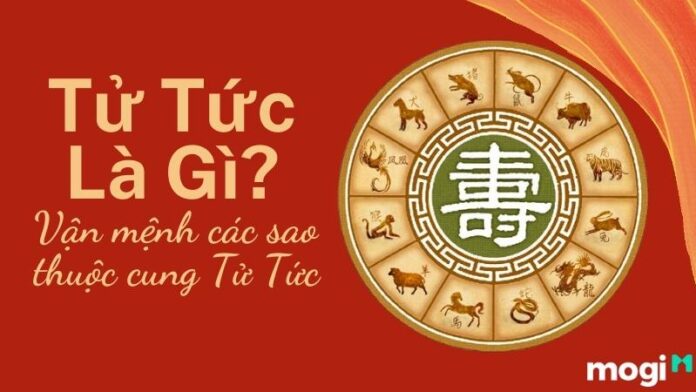 tử tức là gì