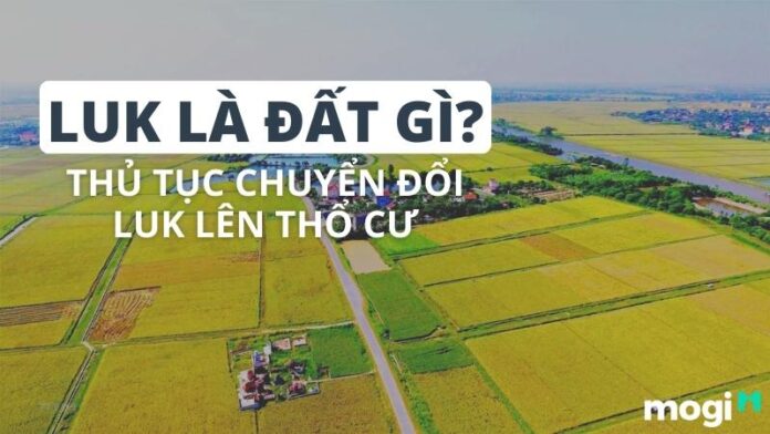 LUK Là Đất Gì?