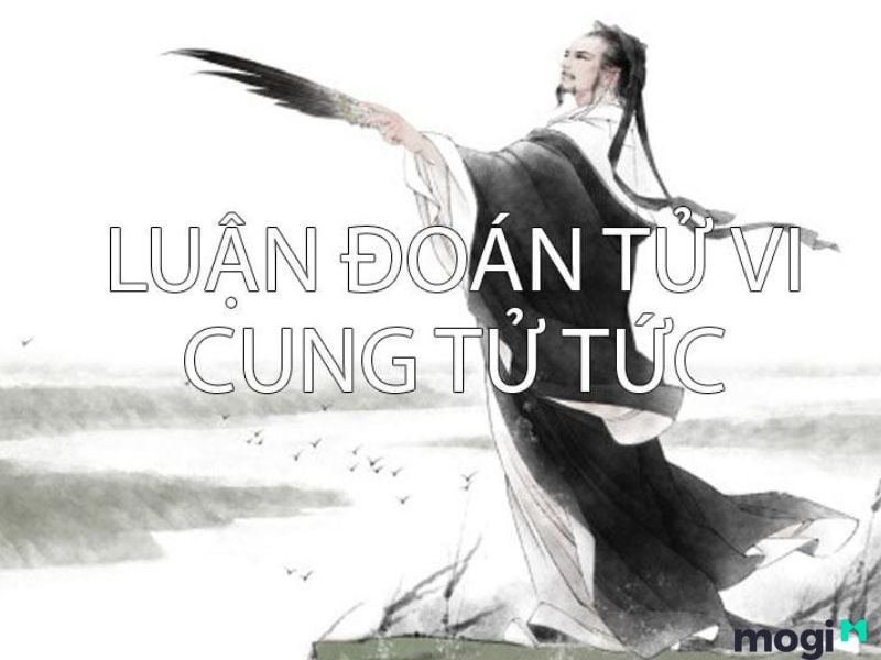 tử tức là gì