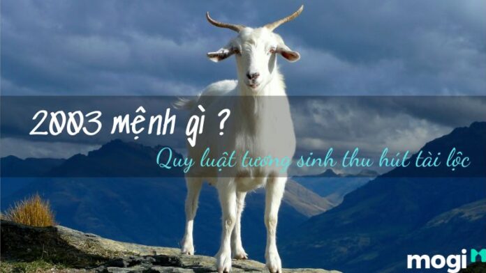 2003-menh-gi