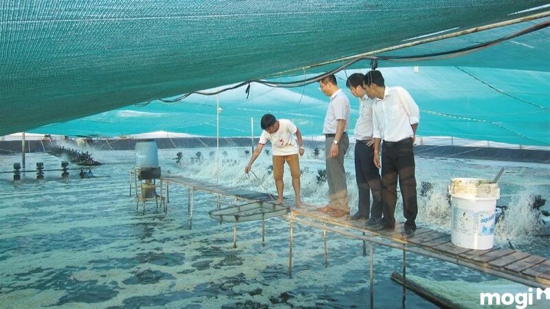 NTS là đất gì? Tiền bồi thường cho đất NTS