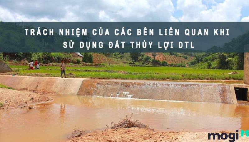dtl là đất gì dtl là đất gì