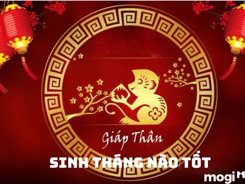 Sinh năm 2004 mệnh gì? Tháng sinh nào tốt nhất