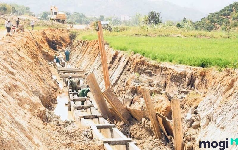 dtl là đất gì dtl là đất gì