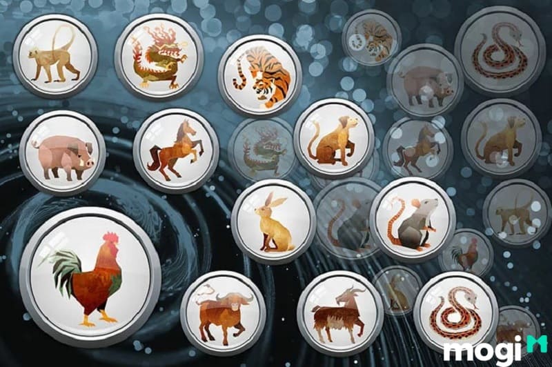 2025 năm con gì?