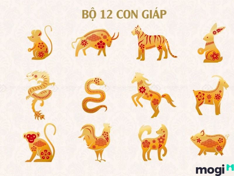 Tử vi có công năng dự đoán số mệnh con người
