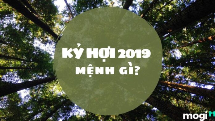 2019-tuoi-gi