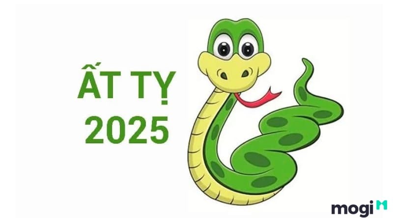 2025 mệnh gì