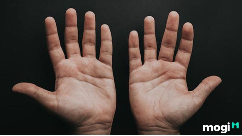 Nhìn tướng tay