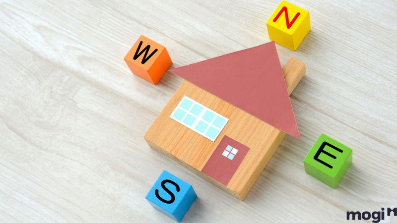 Mệnh Mộc hợp với hướng gì