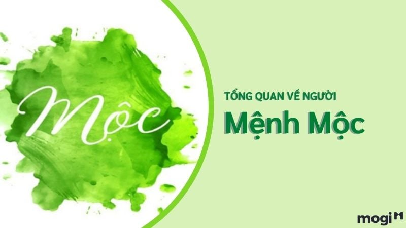 Tìm hiểu tổng quan về người mệnh mộc