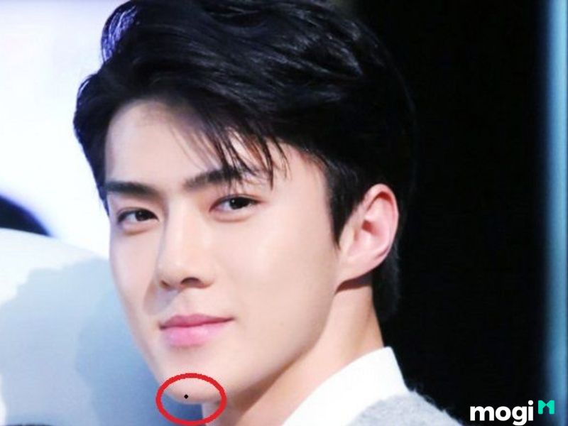 nốt ruồi ở giữa cằm nam