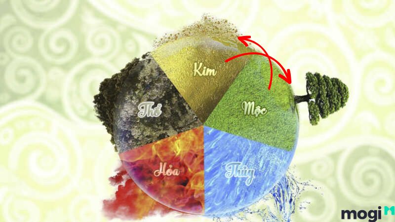 Bạch Lạp Kim Là Gì? Tìm Hiểu Tính Cách, Vận Mệnh, Hợp Mệnh nào? 14 Nạp âm Bạch Lạp Kim so với mệnh Mộc