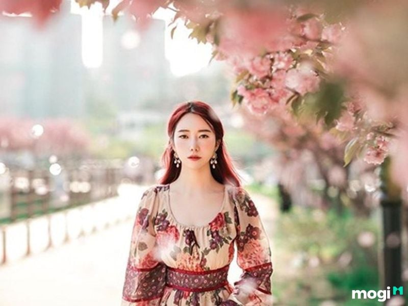 Luận Giải Ý Nghĩa Của Sao Hồng Loan Tại Các Cung Chính Xác Nhất 10 Sao Hồng Loan