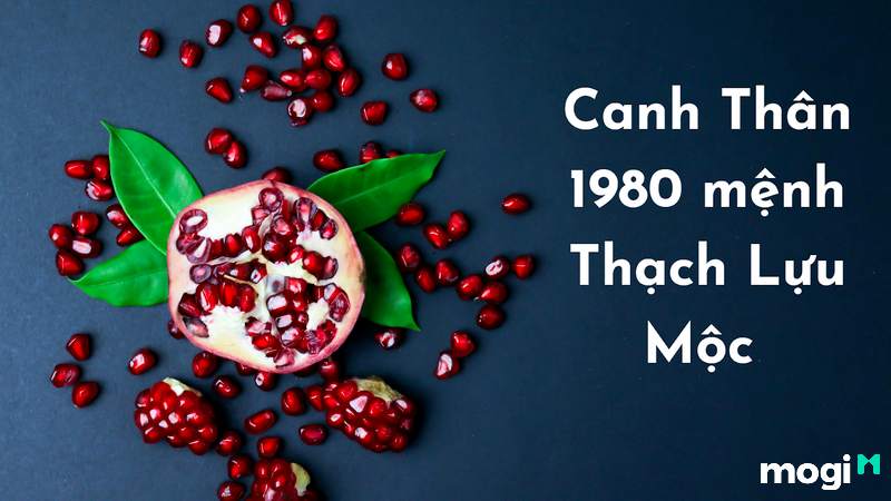 Thạch Lựu Mộc Là Mệnh Gì? Vận Mệnh Cuộc Đời Người Mệnh Thạch Lựu Mộc 3 Thạch Lựu Mộc sinh năm bao nhiêu?