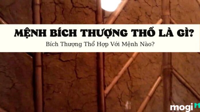 Mệnh Bích Thượng Thổ Là Gì?