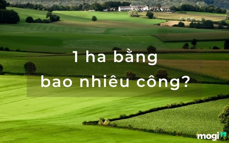 Cách tính 1ha bằng bao nhiêu sào, bao nhiêu công đất