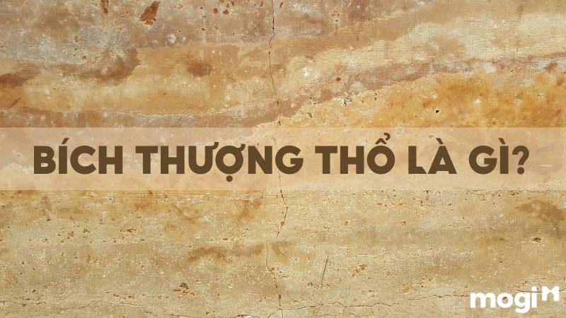 Mệnh Bích Thượng Thổ Là Gì? Bích Thượng Thổ Hợp Với Những Mệnh Nào? 1 bích thượng thổ