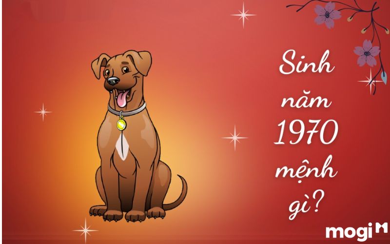 1970 Tuổi Gì? Mệnh Gì? Luận Giải Chi Tiết Tử Vi Canh Tuất 1970 2 1970 tuổi gì